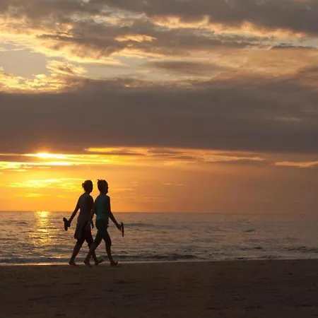 In Near North Sea Noordwijk