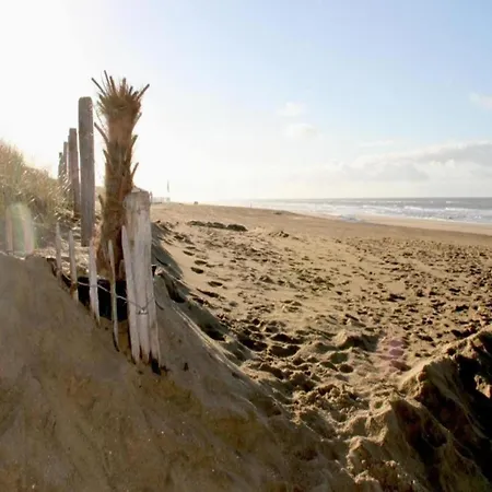 Apartment In Near North Sea *