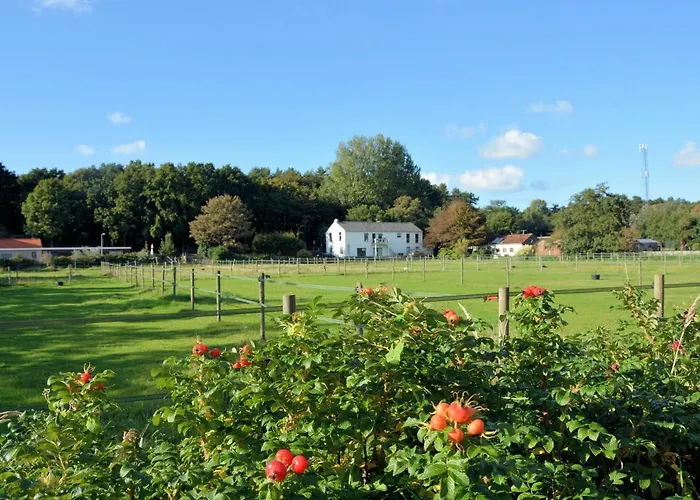 In Near North Sea * Noordwijk