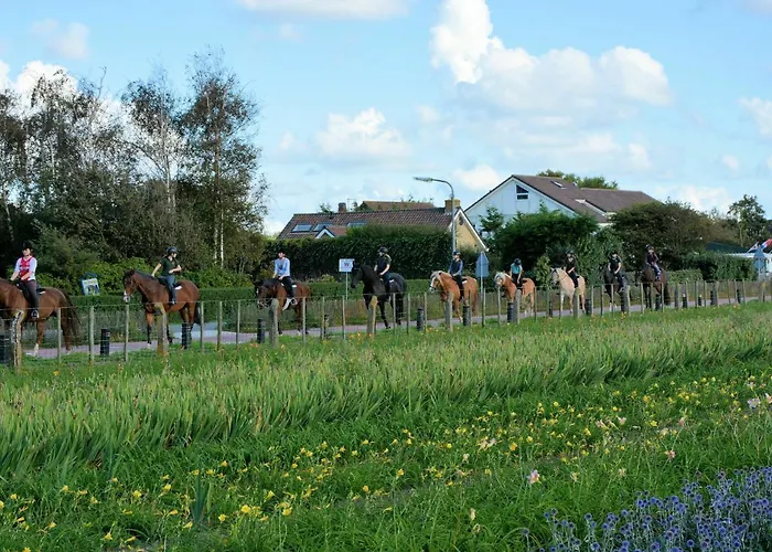 Lägenhet In Near North Sea Noordwijk