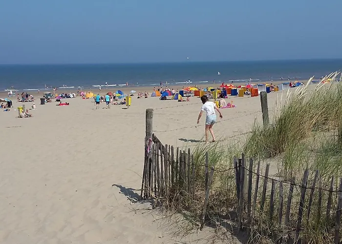 Lägenhet In Near North Sea Noordwijk