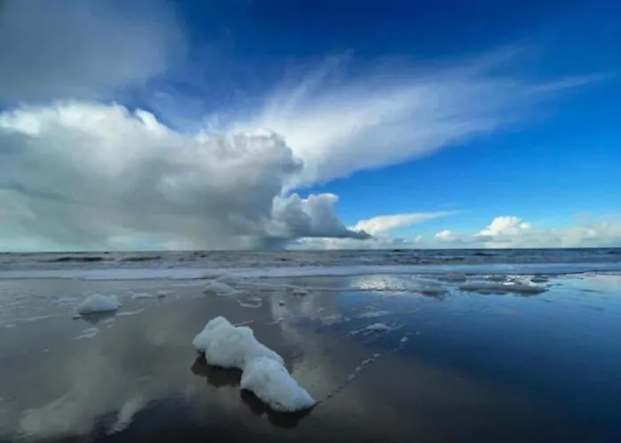 In Near North Sea Appartement *