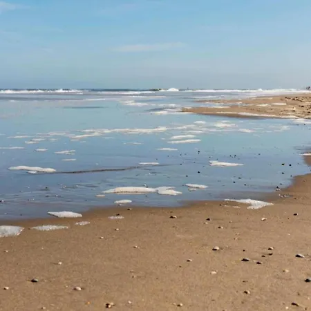 In Near North Sea * نوردفيك