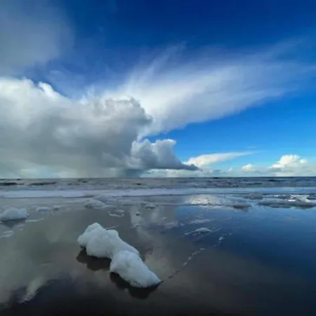 In Near North Sea شقة *