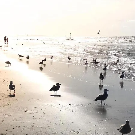 In Near North Sea نوردفيك