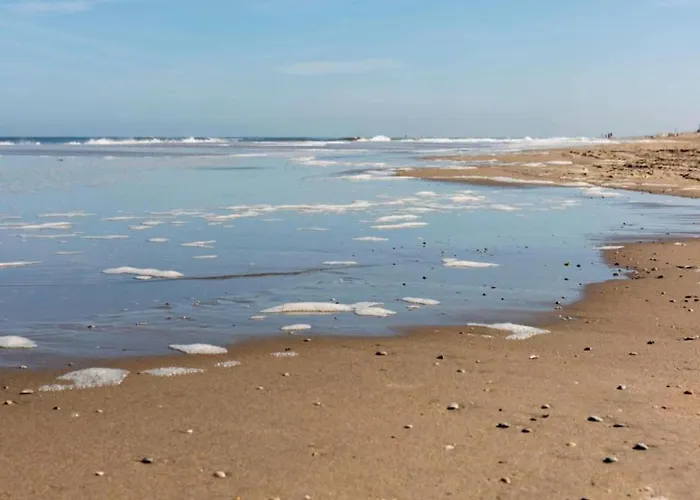 In Near North Sea * نوردفيك