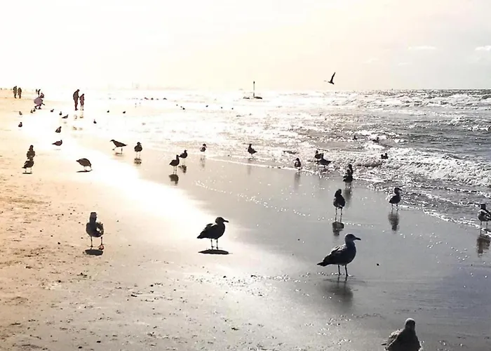 In Near North Sea نوردفيك