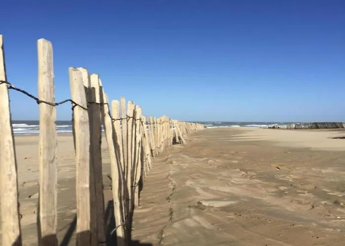 In Near North Sea نوردفيك